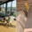 Article 152 : Table et chaise : le bon duo pour un intérieur qui vit vraiment